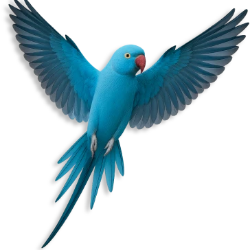 ring_neck_animais_ex_ticos_pet_shop